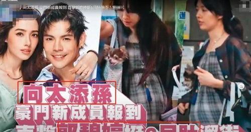 幸福媳妇爆料视频播放全集,揭秘视频全集精彩瞬间